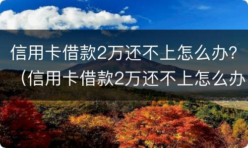 信用卡借款2万还不上怎么办？（信用卡借款2万还不上怎么办呀）