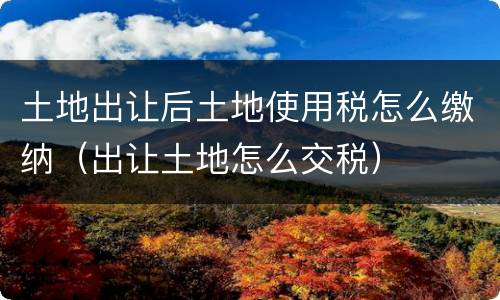 土地出让后土地使用税怎么缴纳（出让土地怎么交税）