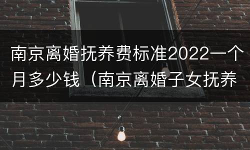 南京离婚抚养费标准2022一个月多少钱（南京离婚子女抚养费标准）