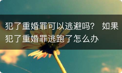 犯了重婚罪可以逃避吗？ 如果犯了重婚罪逃跑了怎么办