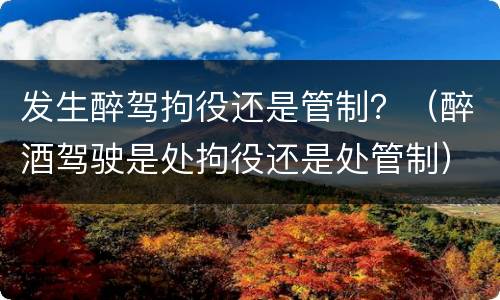 发生醉驾拘役还是管制？（醉酒驾驶是处拘役还是处管制）