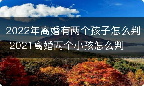 2022年离婚有两个孩子怎么判 2021离婚两个小孩怎么判