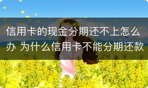 信用卡的现金分期还不上怎么办 为什么信用卡不能分期还款怎么办