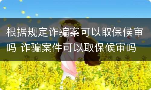 根据规定诈骗案可以取保候审吗 诈骗案件可以取保候审吗