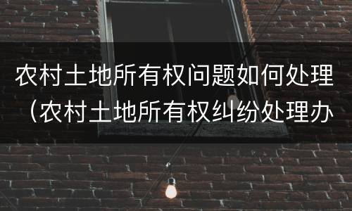 农村土地所有权问题如何处理（农村土地所有权纠纷处理办法）