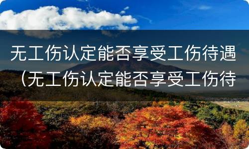 无工伤认定能否享受工伤待遇（无工伤认定能否享受工伤待遇补贴）