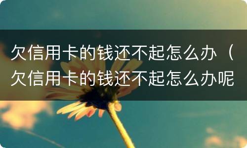 欠信用卡的钱还不起怎么办（欠信用卡的钱还不起怎么办呢）
