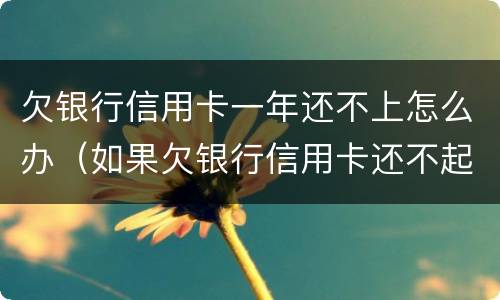 欠银行信用卡一年还不上怎么办（如果欠银行信用卡还不起会怎样处理）