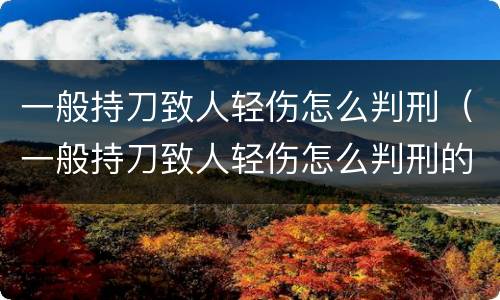一般持刀致人轻伤怎么判刑（一般持刀致人轻伤怎么判刑的）