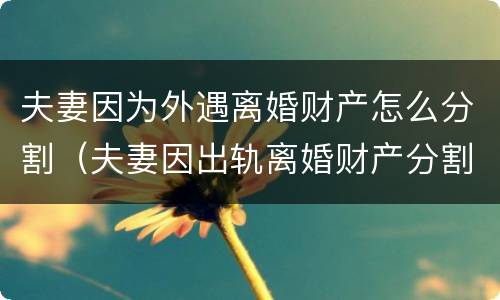 夫妻因为外遇离婚财产怎么分割（夫妻因出轨离婚财产分割）