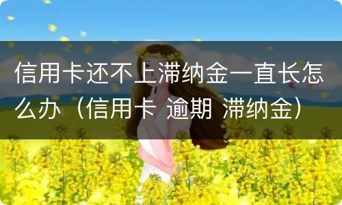 信用卡还不上滞纳金一直长怎么办（信用卡 逾期 滞纳金）