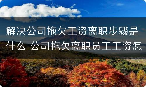 解决公司拖欠工资离职步骤是什么 公司拖欠离职员工工资怎么快速解决