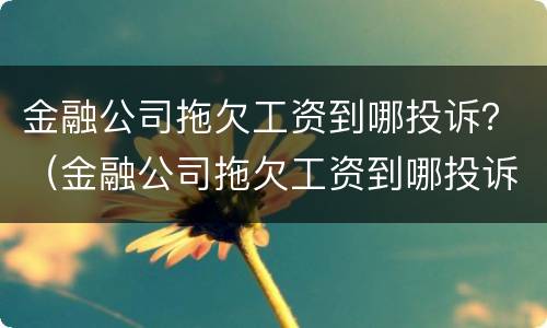 金融公司拖欠工资到哪投诉？（金融公司拖欠工资到哪投诉有效）