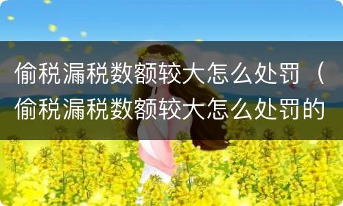 偷税漏税数额较大怎么处罚（偷税漏税数额较大怎么处罚的）