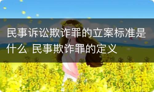民事诉讼欺诈罪的立案标准是什么 民事欺诈罪的定义