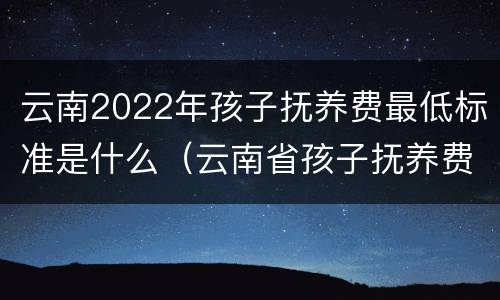 云南2022年孩子抚养费最低标准是什么（云南省孩子抚养费最低标准是多少）