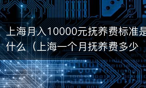 上海月入10000元抚养费标准是什么（上海一个月抚养费多少）