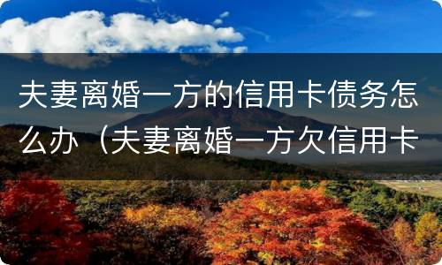 夫妻离婚一方的信用卡债务怎么办（夫妻离婚一方欠信用卡怎么办）