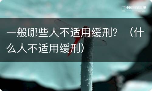 一般哪些人不适用缓刑？（什么人不适用缓刑）