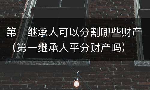 第一继承人可以分割哪些财产（第一继承人平分财产吗）