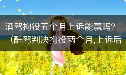酒驾拘役五个月上诉能赢吗？（醉驾判决拘役两个月,上诉后不拘役的几率大吗）