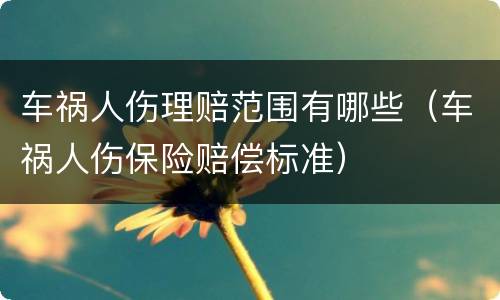 车祸人伤理赔范围有哪些（车祸人伤保险赔偿标准）