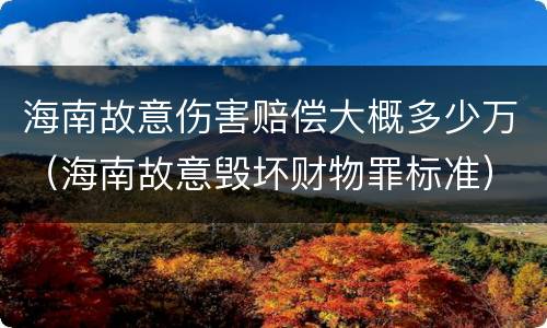 海南故意伤害赔偿大概多少万（海南故意毁坏财物罪标准）