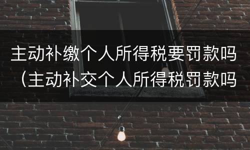 主动补缴个人所得税要罚款吗（主动补交个人所得税罚款吗）