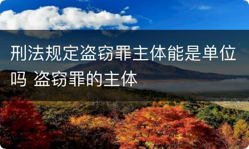 刑法规定盗窃罪主体能是单位吗 盗窃罪的主体