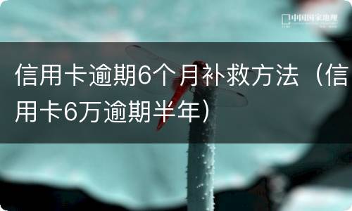 信用卡逾期6个月补救方法（信用卡6万逾期半年）