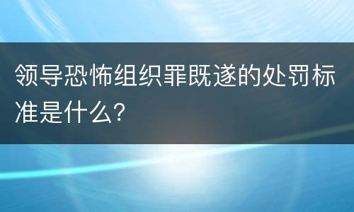 领导恐怖组织罪既遂的处罚标准是什么？
