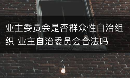 业主委员会是否群众性自治组织 业主自治委员会合法吗