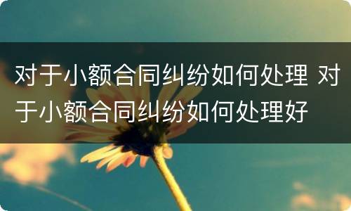 对于小额合同纠纷如何处理 对于小额合同纠纷如何处理好