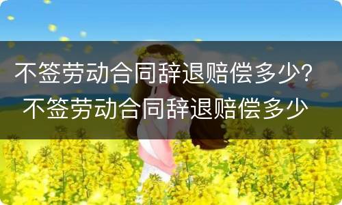 不签劳动合同辞退赔偿多少？ 不签劳动合同辞退赔偿多少