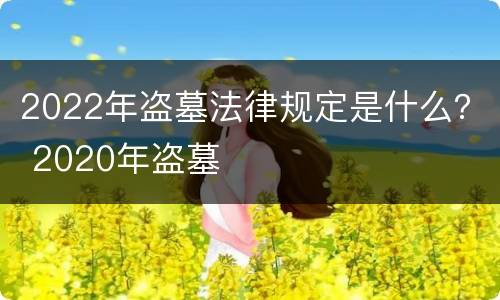 2022年盗墓法律规定是什么？ 2020年盗墓