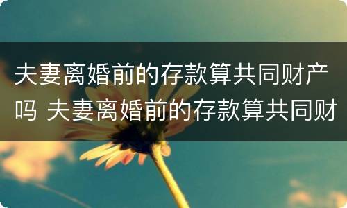夫妻离婚前的存款算共同财产吗 夫妻离婚前的存款算共同财产吗