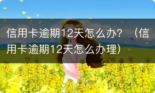 信用卡逾期12天怎么办？（信用卡逾期12天怎么办理）