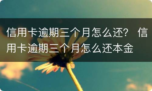信用卡逾期三个月怎么还？ 信用卡逾期三个月怎么还本金