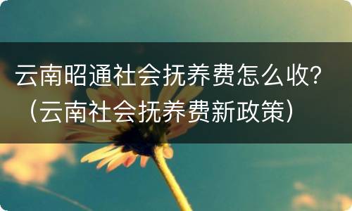 云南昭通社会抚养费怎么收？（云南社会抚养费新政策）