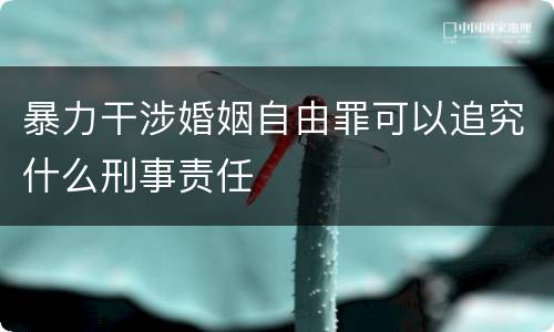 暴力干涉婚姻自由罪可以追究什么刑事责任
