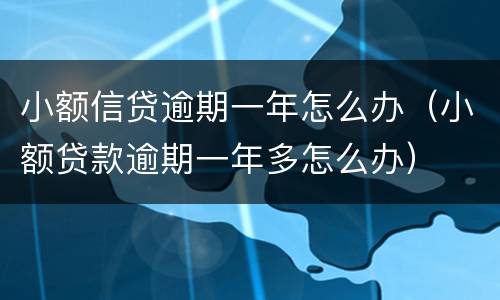 小额信贷逾期一年怎么办（小额贷款逾期一年多怎么办）