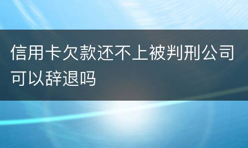 信用卡欠款还不上被判刑公司可以辞退吗