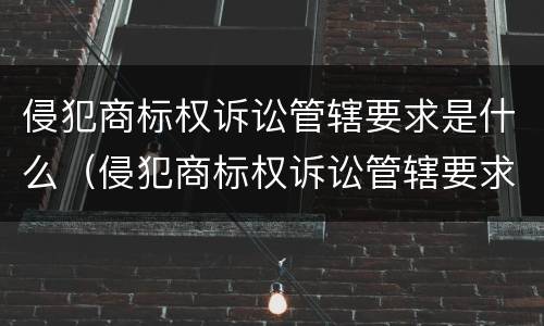侵犯商标权诉讼管辖要求是什么（侵犯商标权诉讼管辖要求是什么意思）