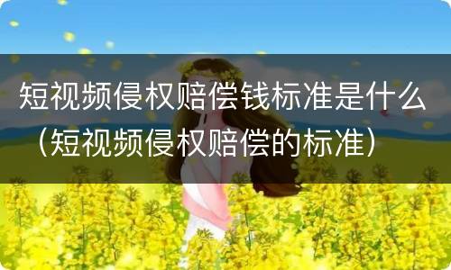 短视频侵权赔偿钱标准是什么（短视频侵权赔偿的标准）