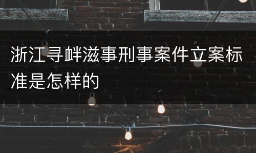 浙江寻衅滋事刑事案件立案标准是怎样的