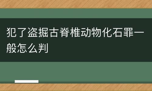 犯了盗掘古脊椎动物化石罪一般怎么判