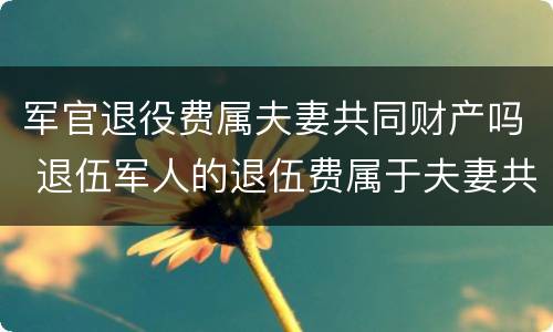军官退役费属夫妻共同财产吗 退伍军人的退伍费属于夫妻共同财产吗