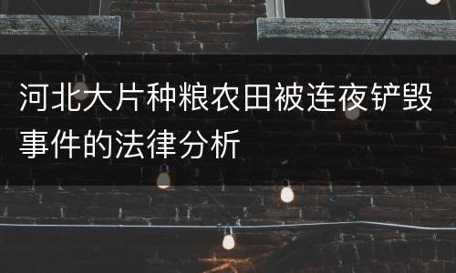 河北大片种粮农田被连夜铲毁事件的法律分析