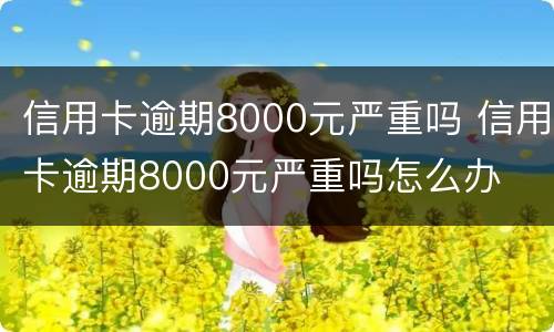 信用卡逾期8000元严重吗 信用卡逾期8000元严重吗怎么办
