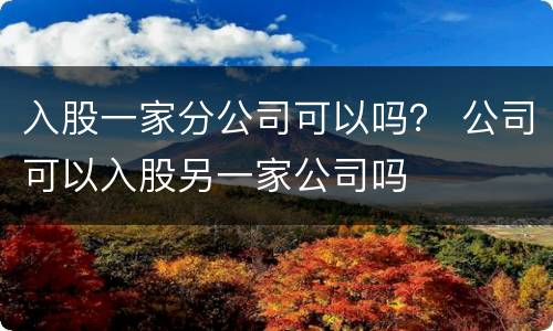 入股一家分公司可以吗？ 公司可以入股另一家公司吗